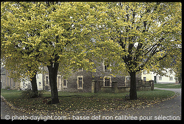 Maison dans les arbres